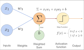 Perceptron Structure